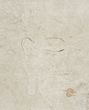 e9